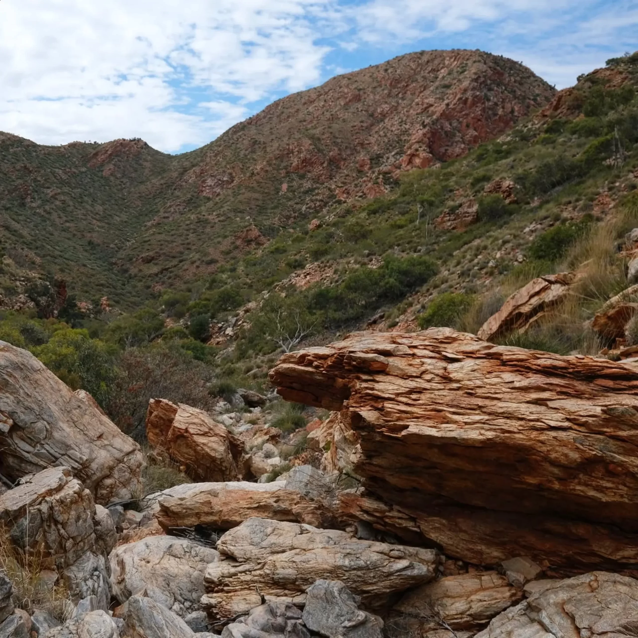 adventure, Larapinta