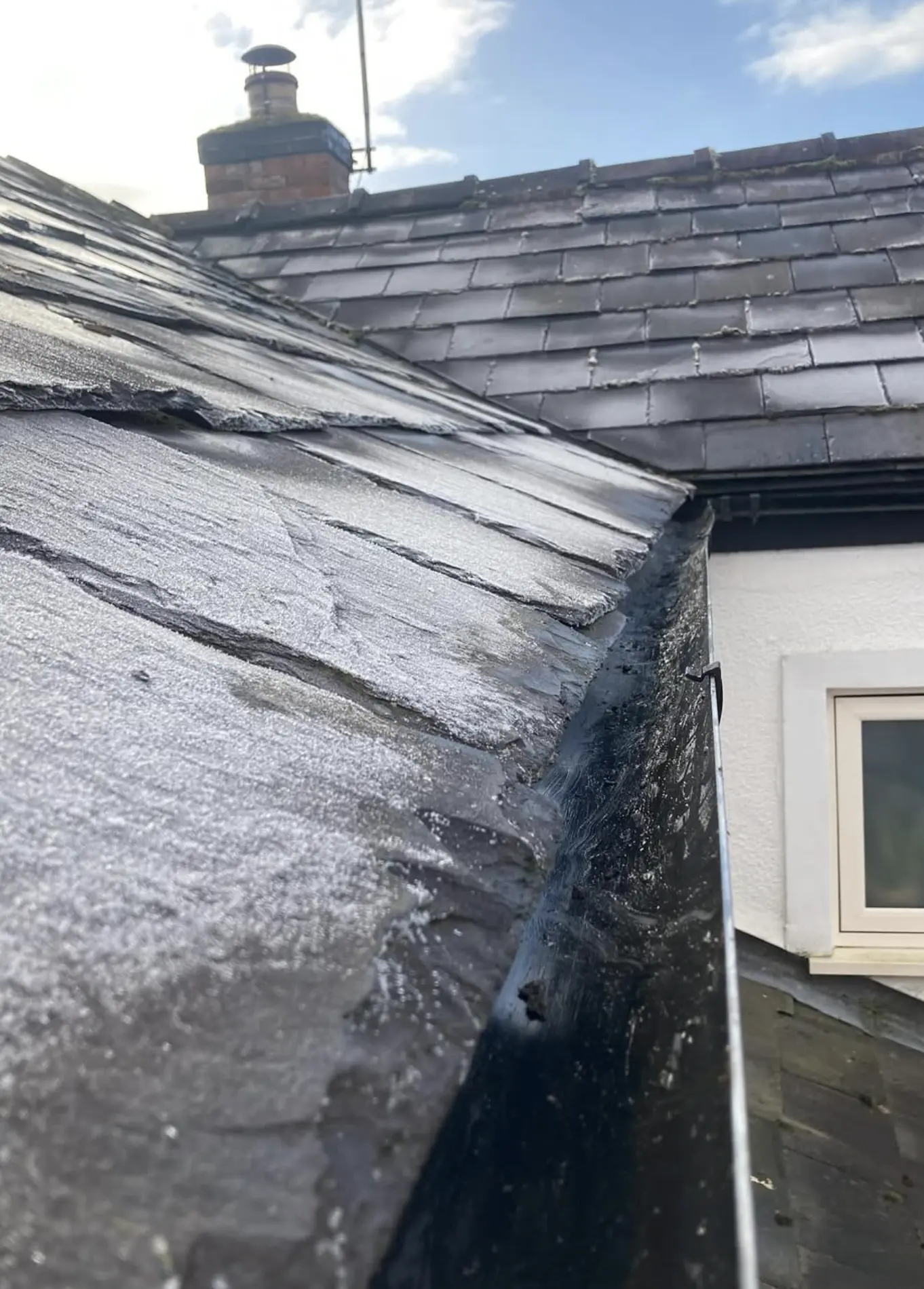 Roof cleaning service australia