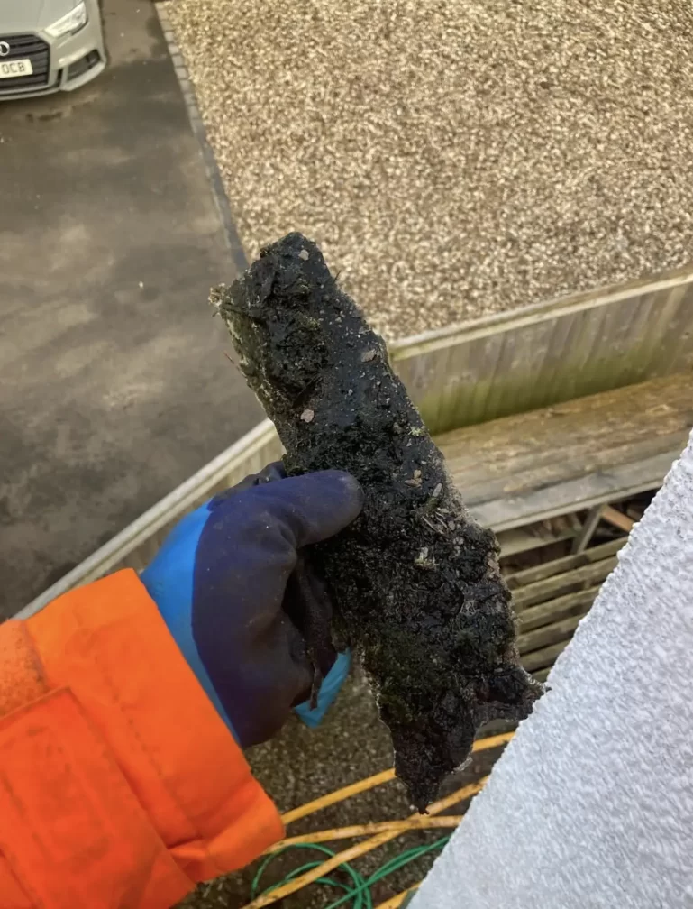 What happens if you don't clean your roof?
