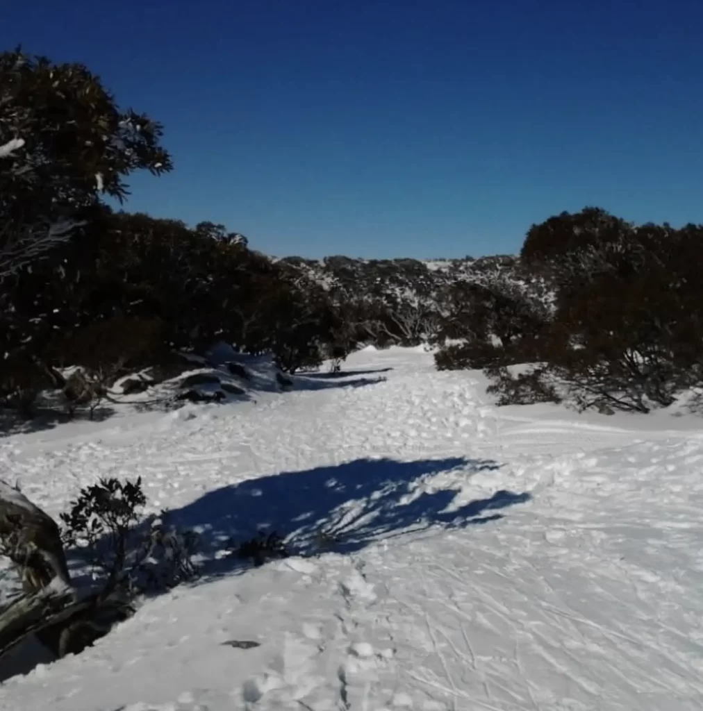 Why Snow Falls In The Great Dividing Range